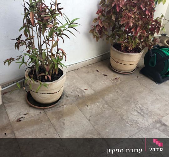 צינור ירוק על מתקן גלילה ליד עציצים